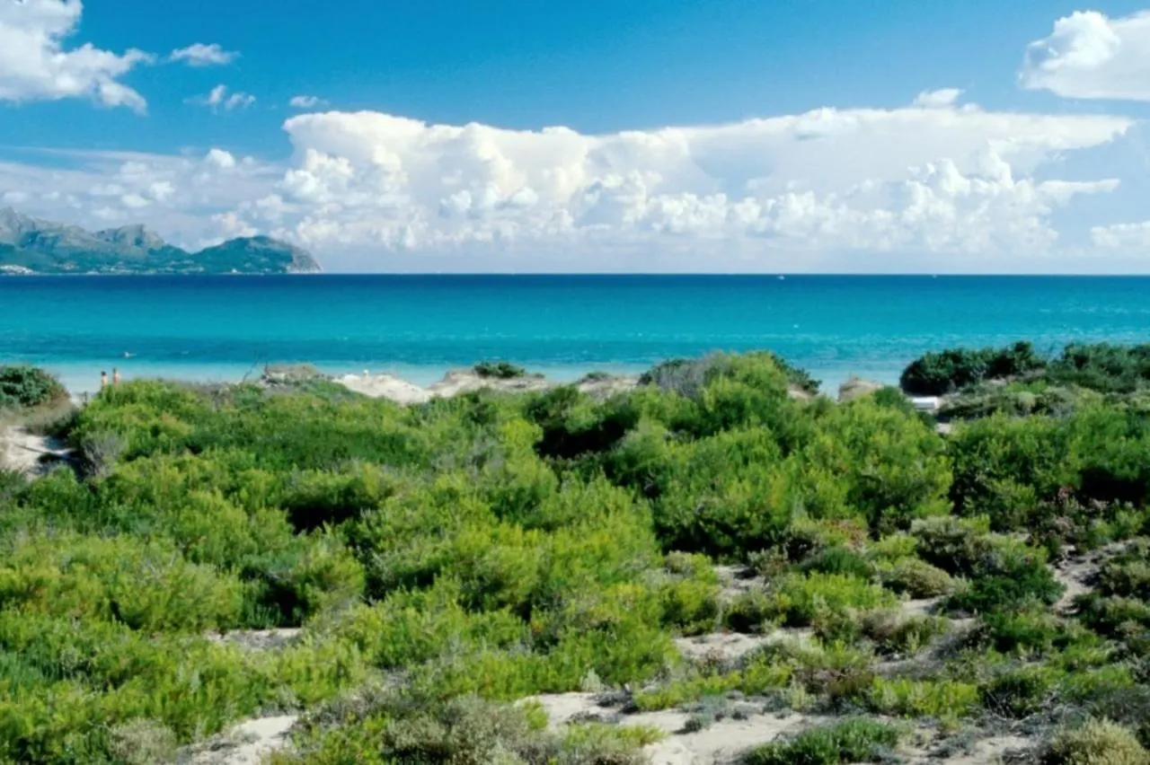 Holiday home Villa Campins Port de Alcudia